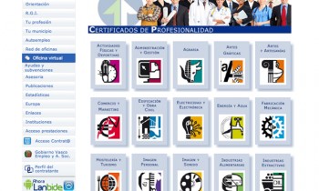 Lanbide, Certificados Profesionales