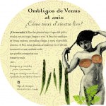 PLATO2