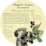 PLATO6